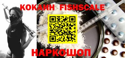 крисы Моздок