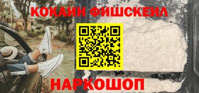 крисы Моздок