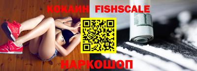 крисы Моздок
