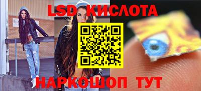 крисы Моздок