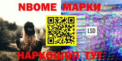 крисы Моздок