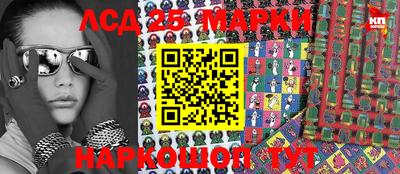 крисы Моздок