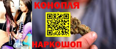 крисы Моздок