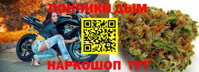 крисы Моздок