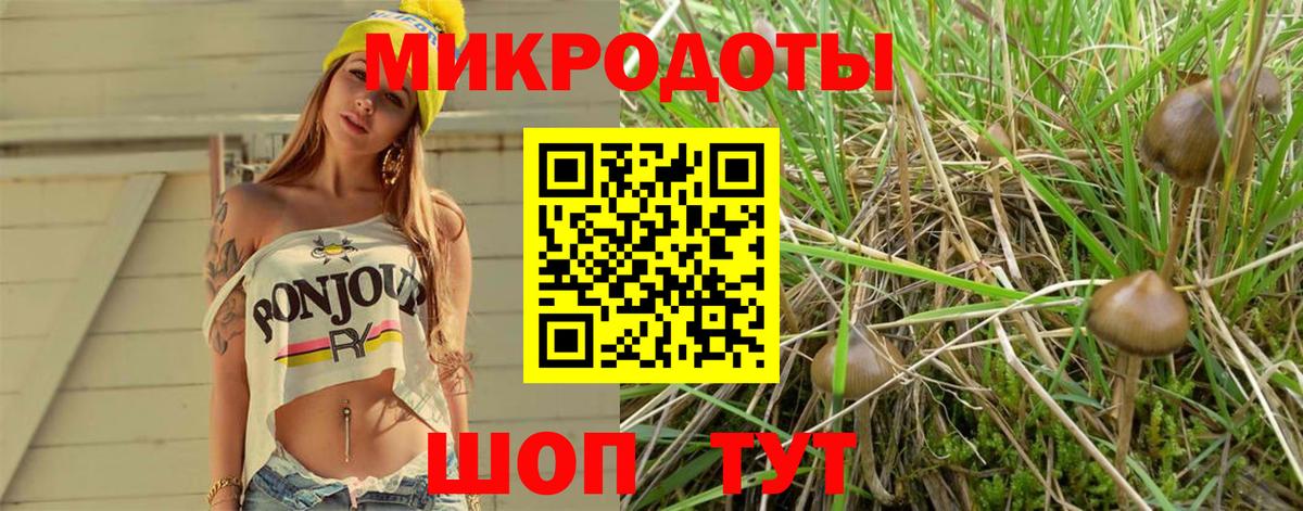 Галлюциногенные грибы MAGIC MUSHROOMS Ульяновск