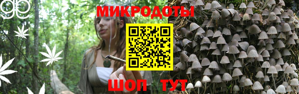 Ульяновск  Псилоцибиновые грибы MAGIC MUSHROOMS  Вход с VPN 